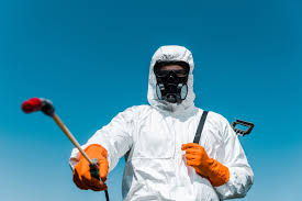 Best Termite Inspection and Treatment  in Bridgewater, VA